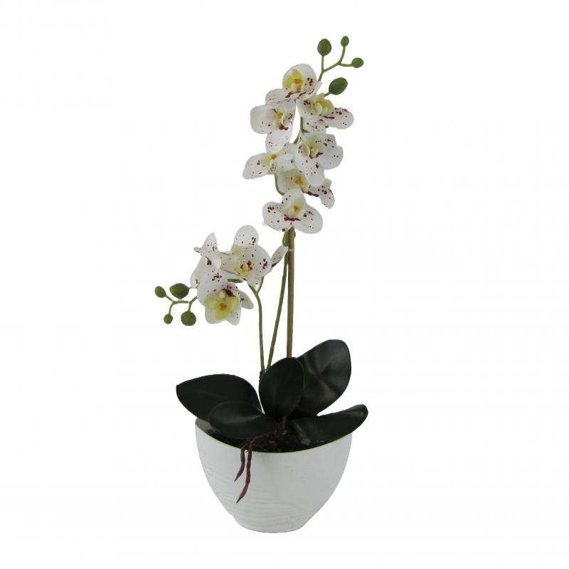 Sztuczne storczyki x2 w doniczce 55cm białe z kropkami (5 szt.)